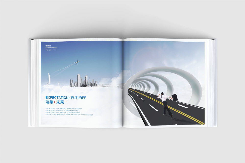 龙港区画册设计